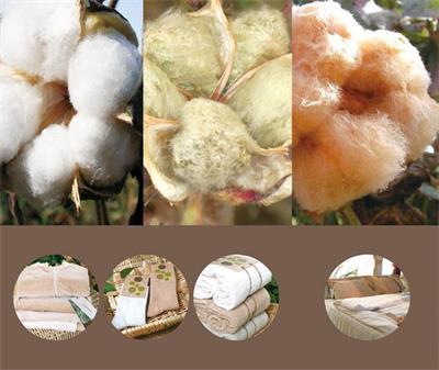 Introducción de tejido de algodón orgánico.